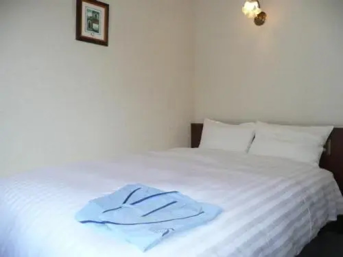 Ochanomizu St.Hills HotelOver view