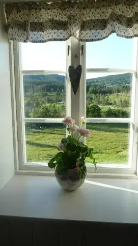 Gamlestua Tuddal, Telemark