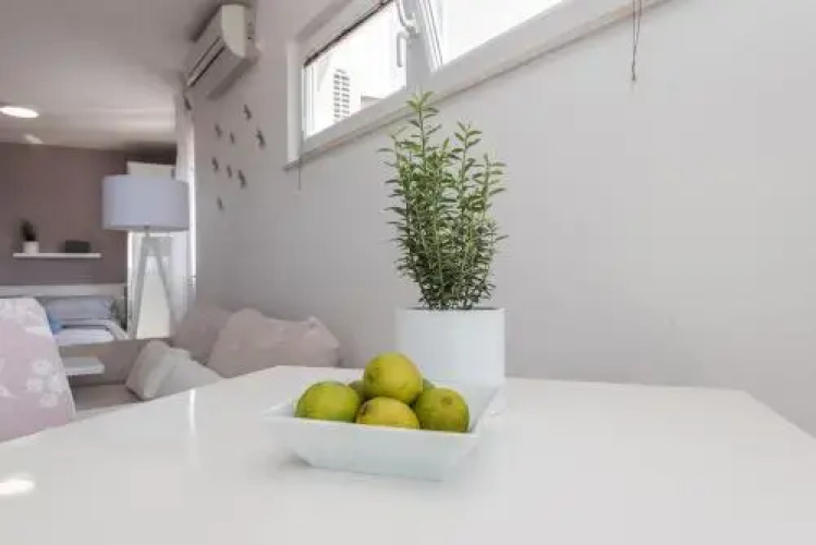 Lalic Gallery Apartments