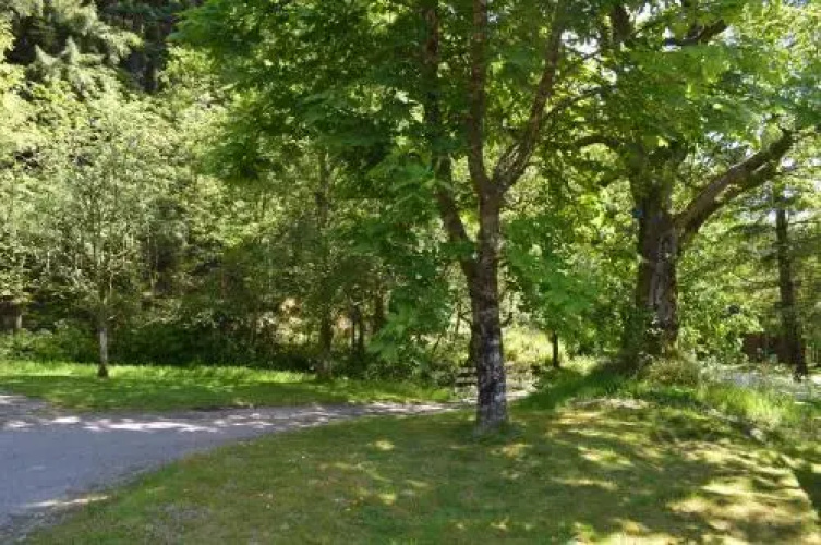 Chestnut Lodge