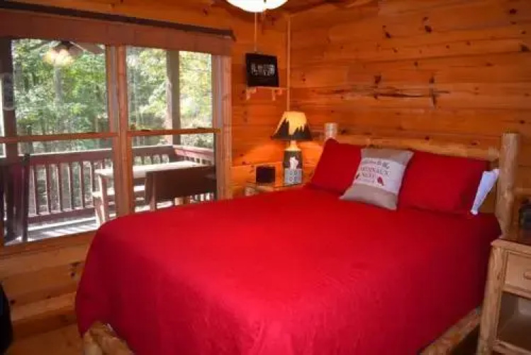 A Cardinals Nest