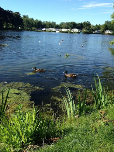 Lakeside east