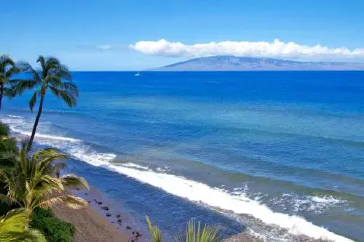 Maui Kai 602
