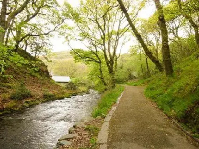 Dolgoch Falls