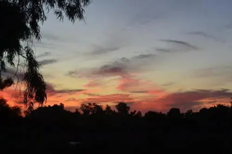 Yataí Casas