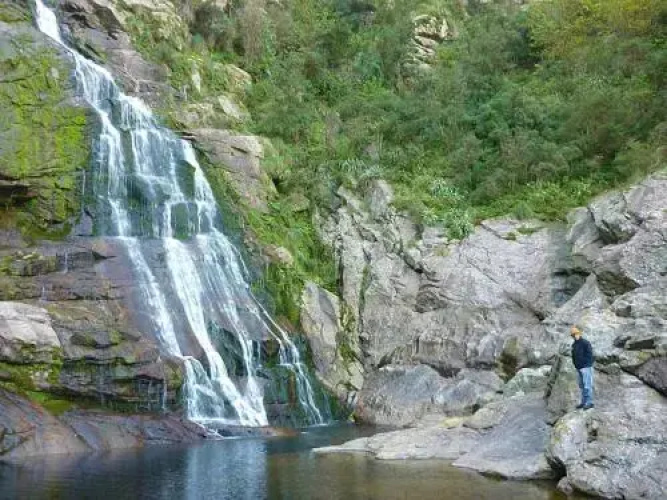 Cabaña Jacaranda