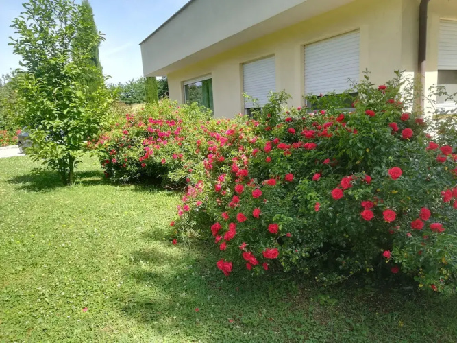 B&B Terra del Sole