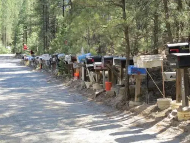 Ponderosa Cabin