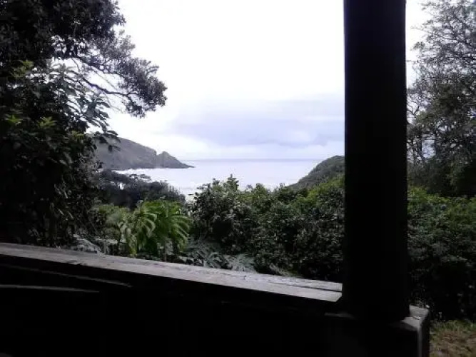 Delicious Monster Seaview Cottage