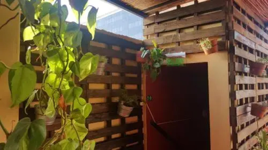 Backpackers Hostel & Cocktails