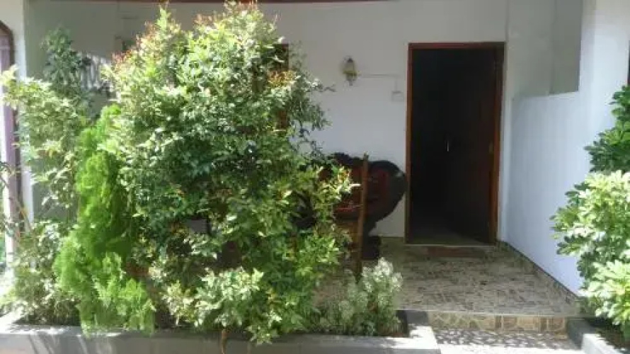 Sandun Uyana