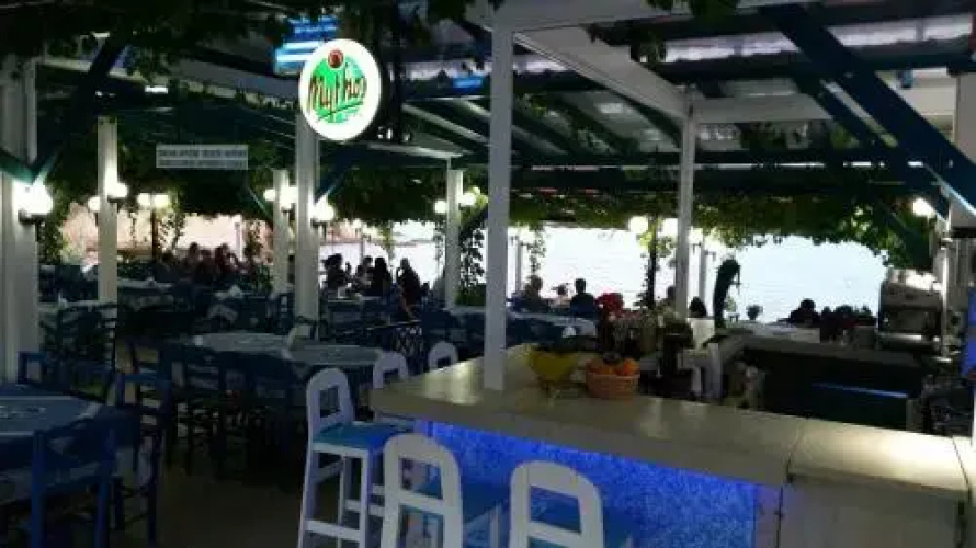 Green Velvet Hotel