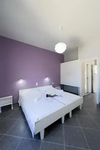 Nikolas Studios