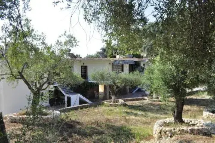Fountas Studios