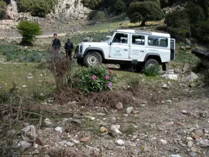 B&B Supramonte
