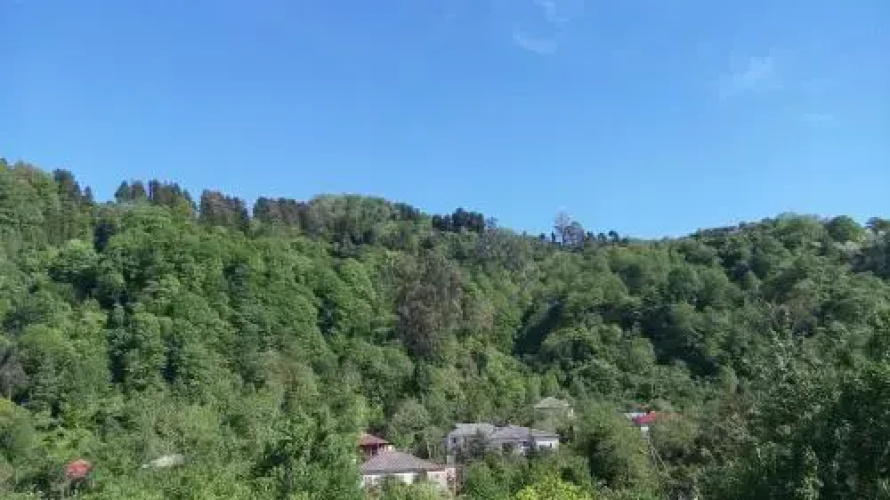 Guest House Pirvelwodebuli