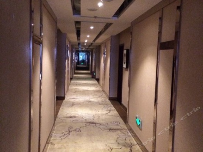 Hotel rooms