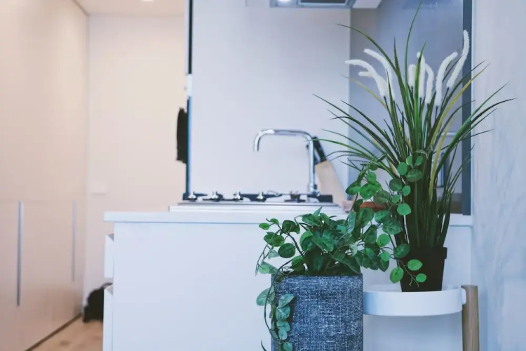HFN Crown Shadow Play Apartment