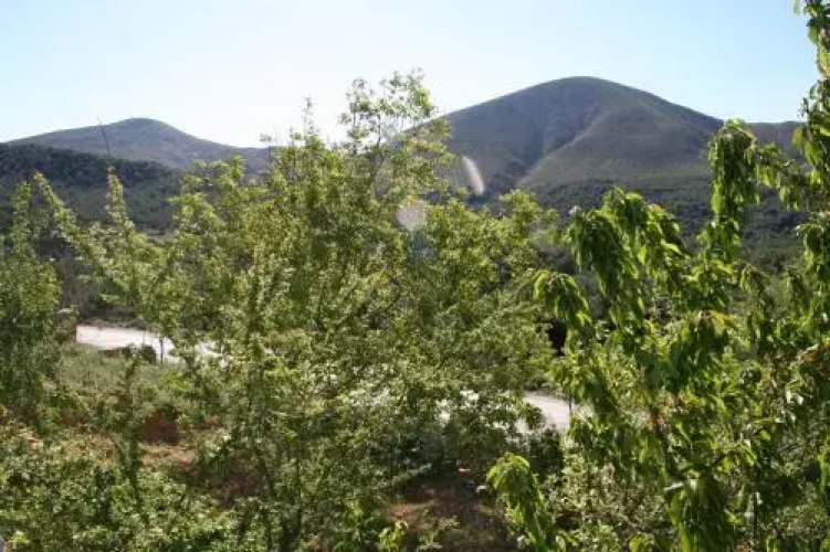Yayla Pansiyon