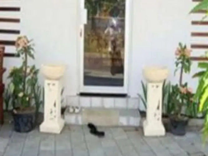 Energy Home Stay