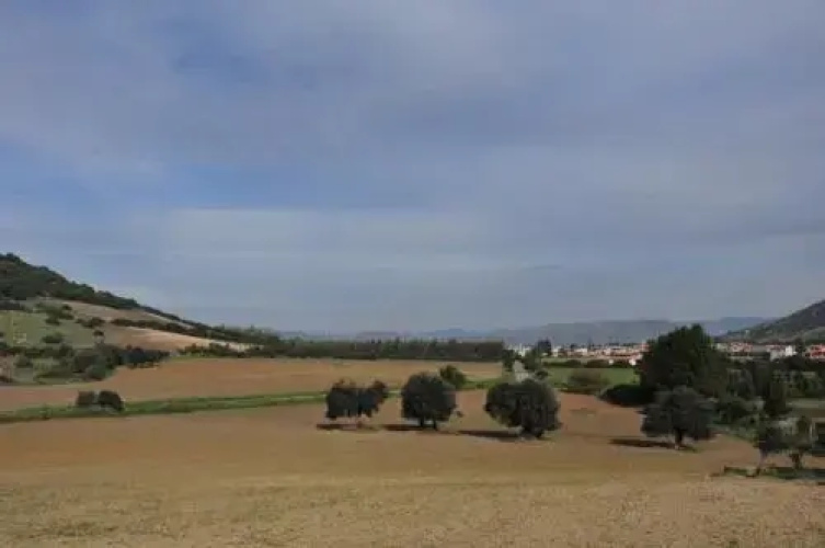 Agriturismo Sa Scalitta