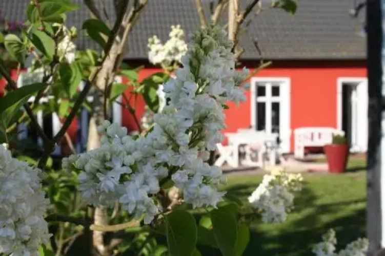 Gutshof Warthe