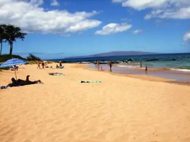 Palms at Wailea #2305