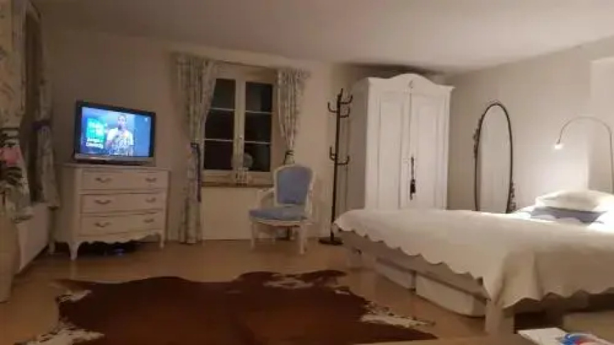 Airport Zürich Elwiras B & B
