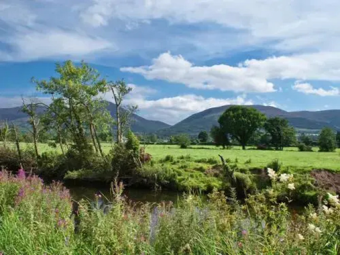 Ballyboy House