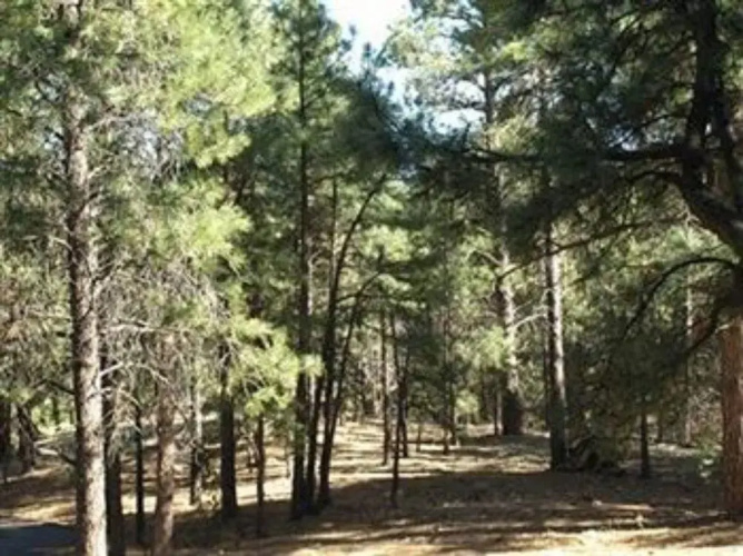 Whispering Pines Inn