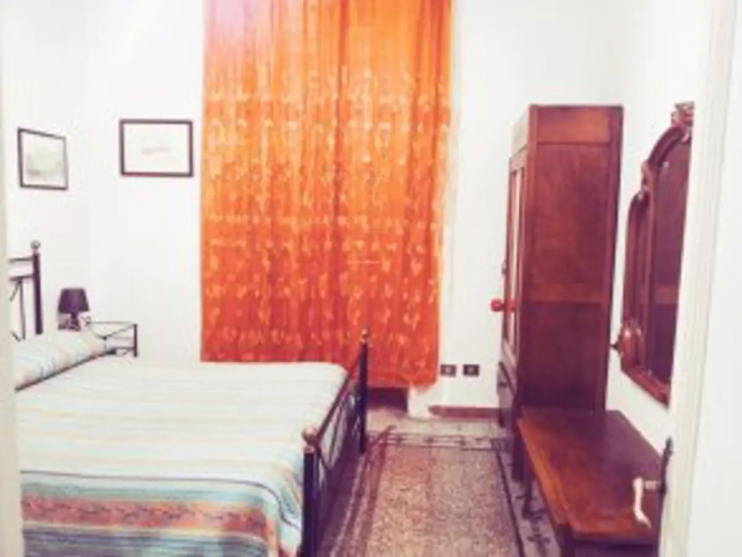 Stella's House