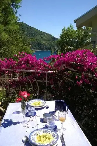 Bella Vista