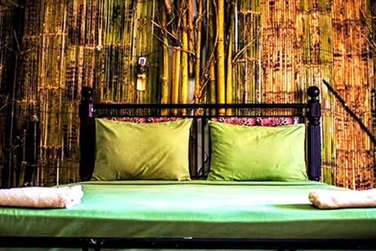The Rabbit Tree - Hostel