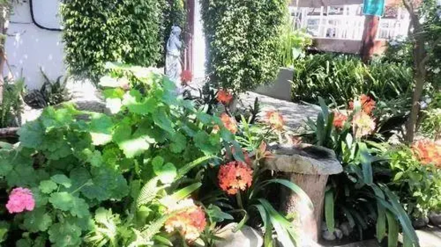 Mangolds Guesthouse