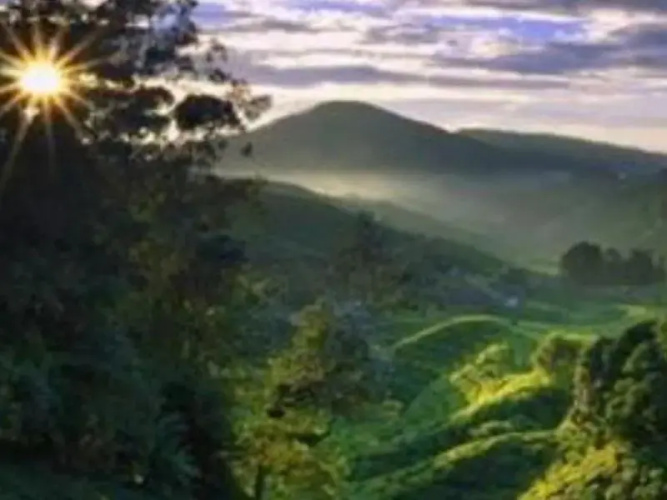 Holiday Accommodation Cameron Highlands