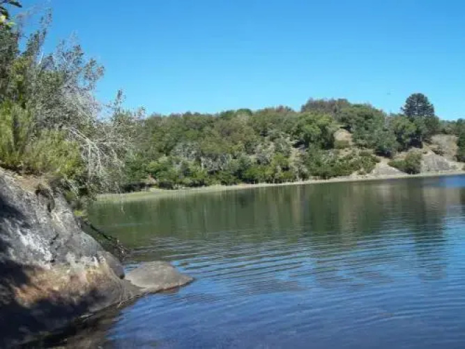 Sueño de Pehuenia