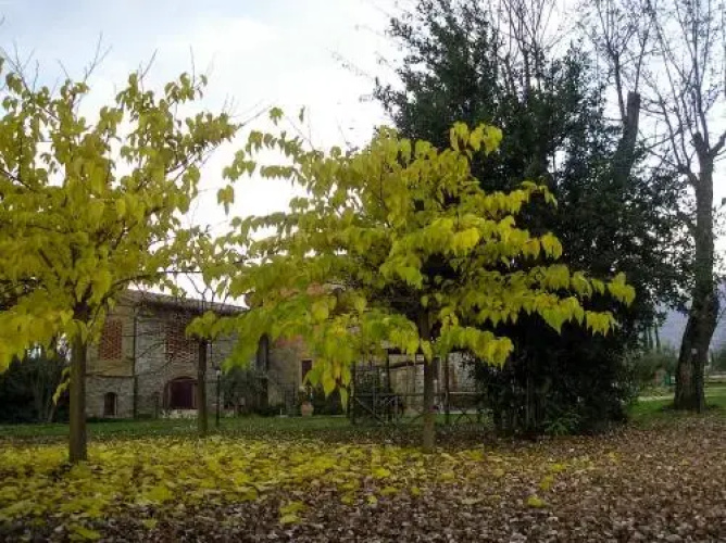 Villa Olena