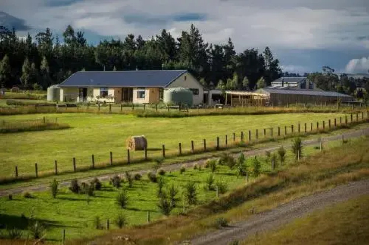 AislingQuoy