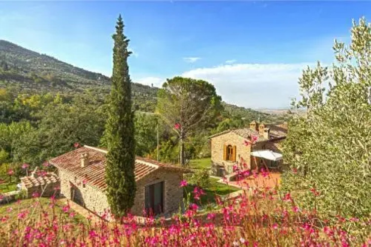 Antica Quercia Verde