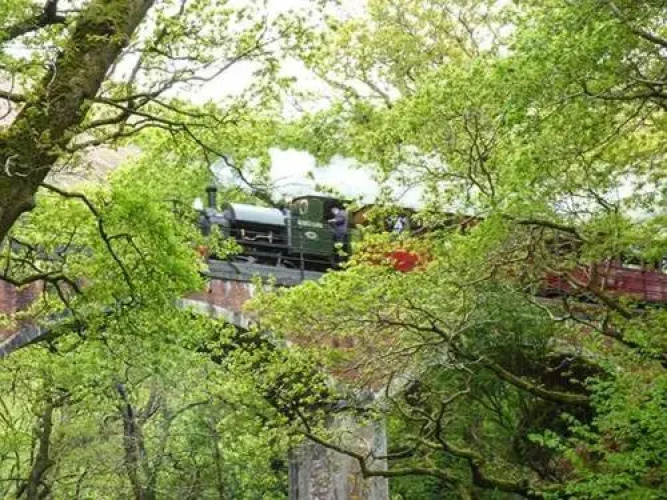 Dolgoch Falls