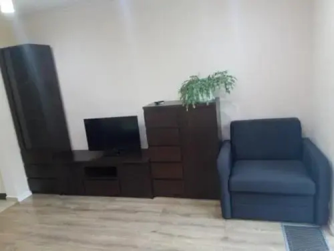 Domek pod brzozą