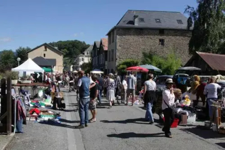 La Vigne Vierge