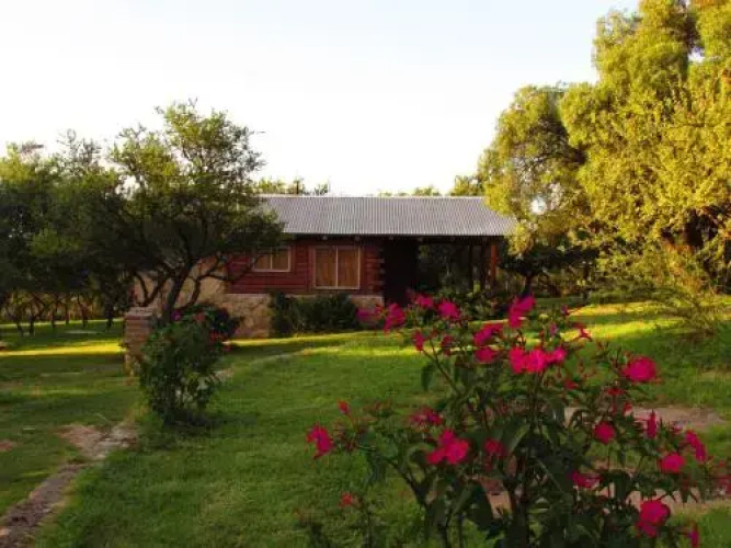 Cabañas Corral del Molle