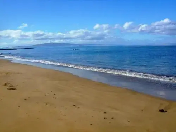 Kihei Bay Surf #119 - Studio Br Condo
