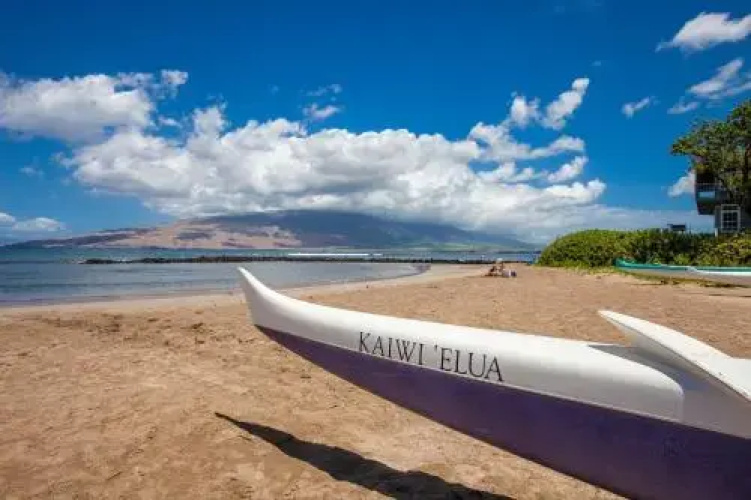 Kihei Bay Surf #109 - Studio Br Condo