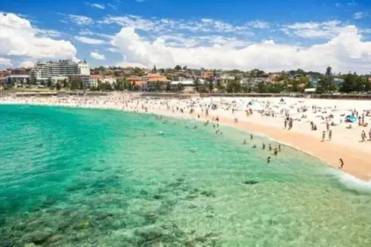 Explore Coogee And Enjoy Sunny Adventures