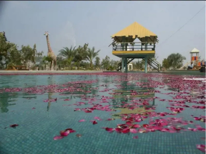 Nalsafari Resort
