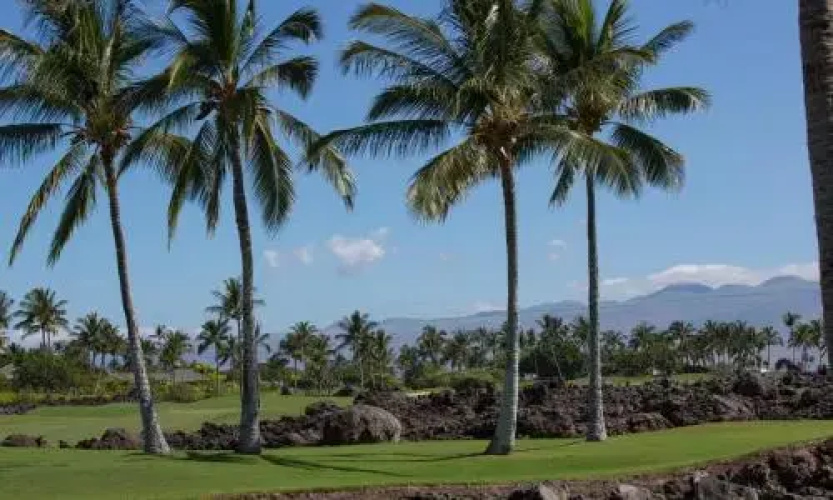 Mauna Lani Golf Villas C1 by RedAwning