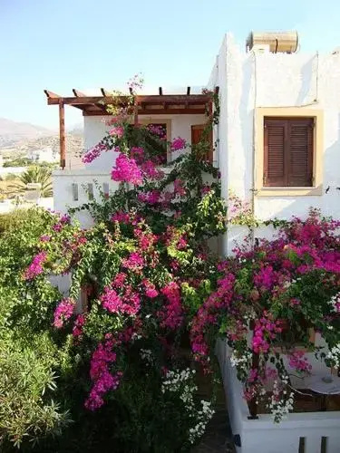 Akrotiri Apartments