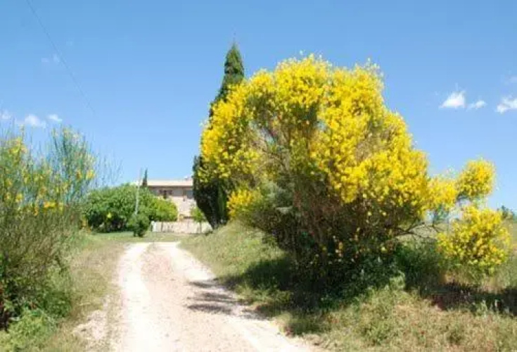 Agriturismo Montecchio